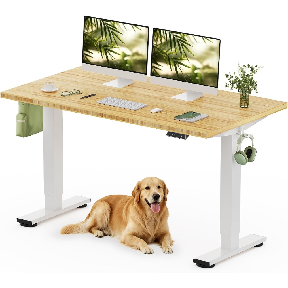 Desk Setup White - FLEXISPOT 55