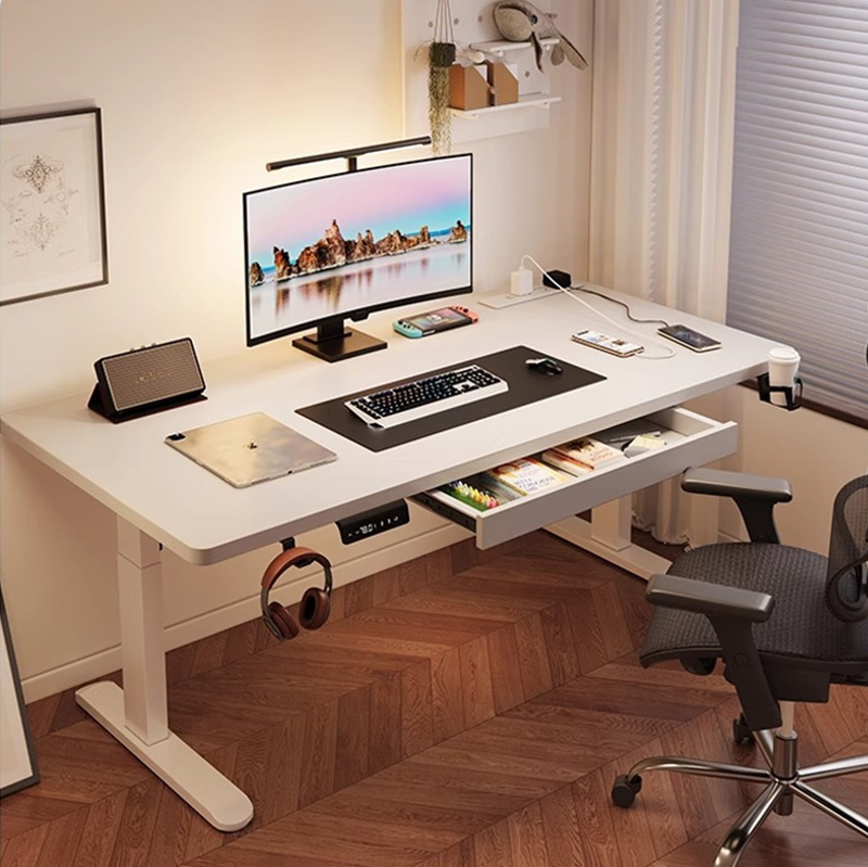 Modern elektrisch verstelbaar  - Desk Setup Ergonomics recensie en prijs
