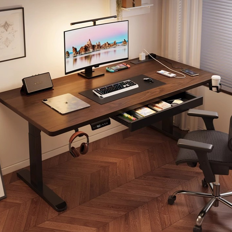 Modern elektrisch verstelbaar  - Desk Setup Ergonomics recensie en prijs